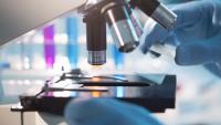 A pathologist placing a slide under a microscope